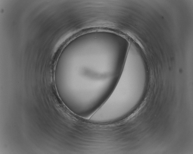 X0000068751069200604280921