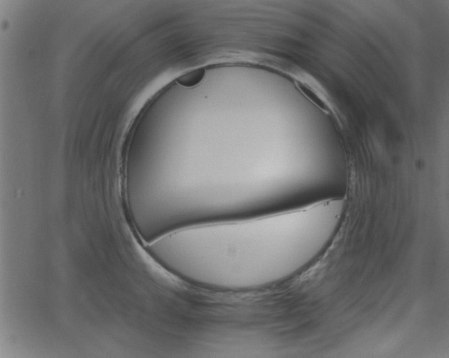 X0000068751143200604280920