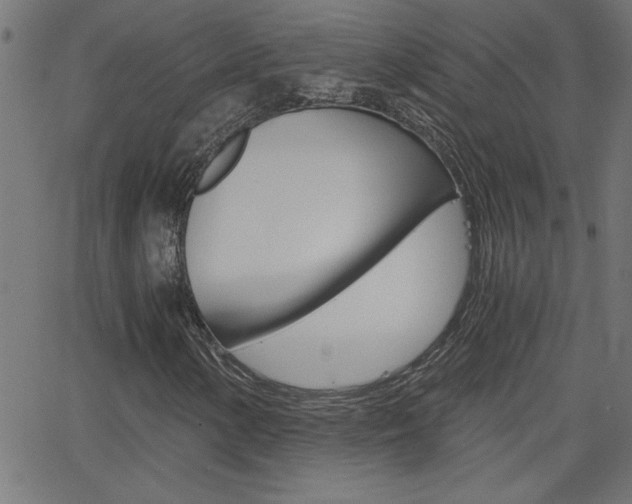 X0000068751154200604280919