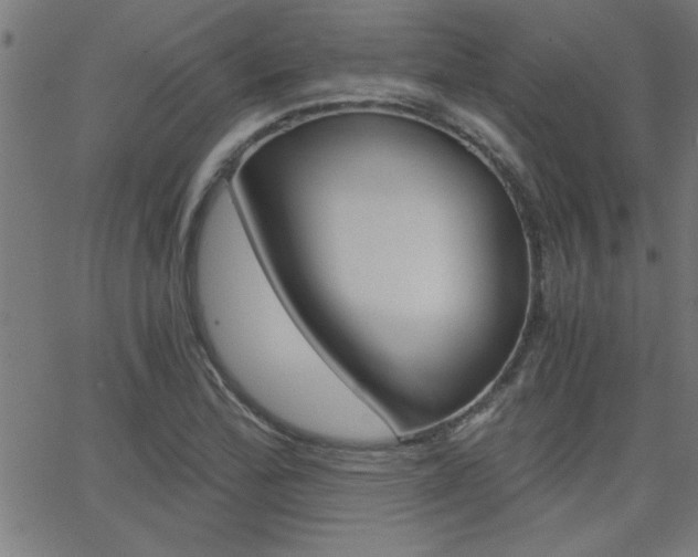 X0000068751172200604280919