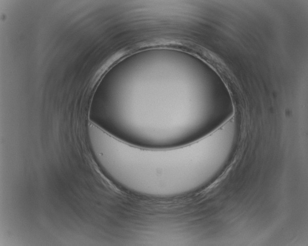 X0000068751177200604280919