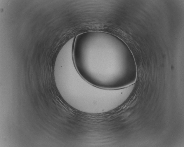 X0000068751202200604280918
