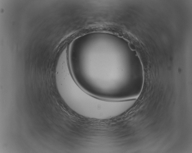 X0000068751206200604280918