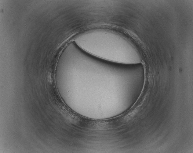 X0000068751209200604280918