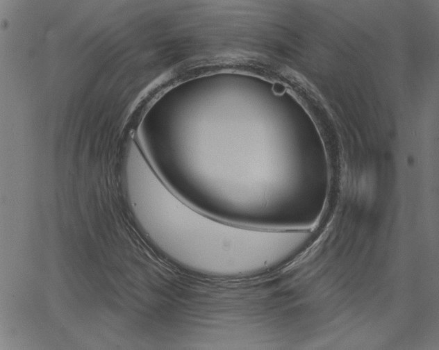 X0000068751210200604280918