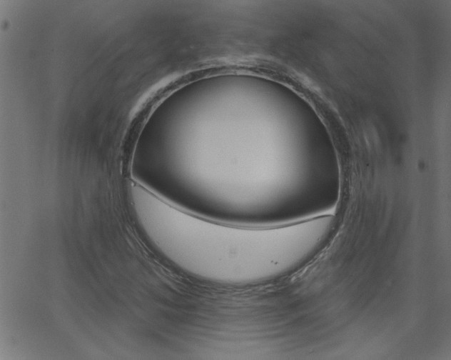 X0000068751214200604280918