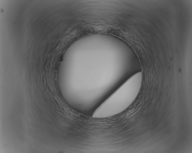 X0000068751249200604280918