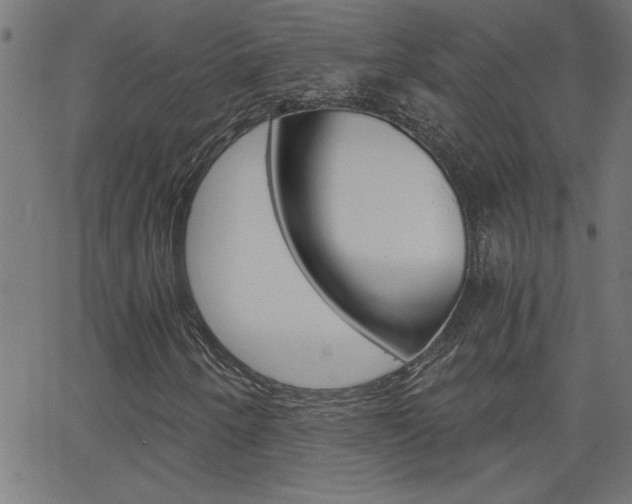 X0000068751250200604280918