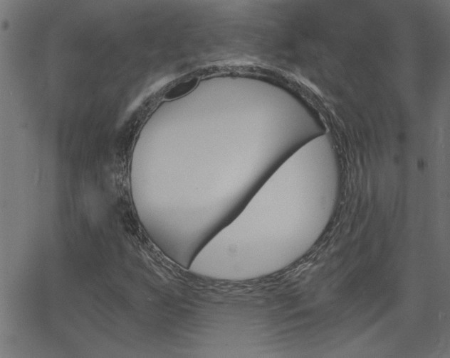 X0000068751255200604280918