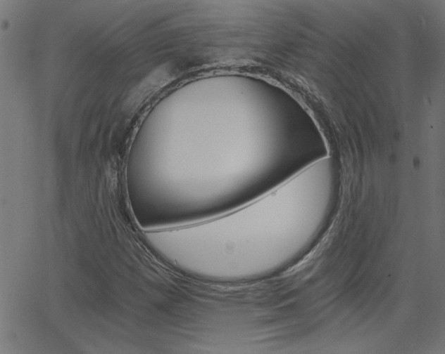 X0000068751257200604280917