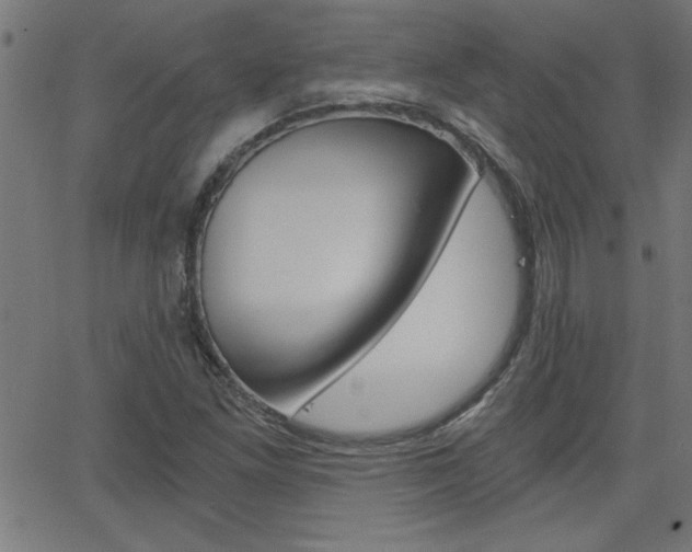X0000068751261200604280917