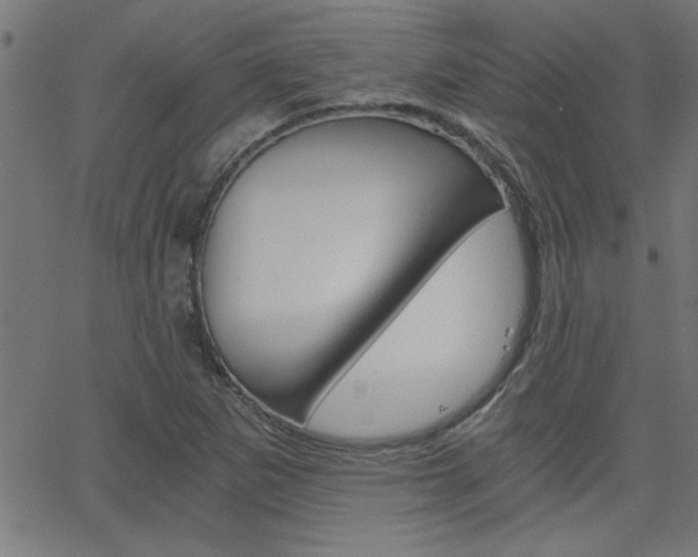 X0000068751265200604280917