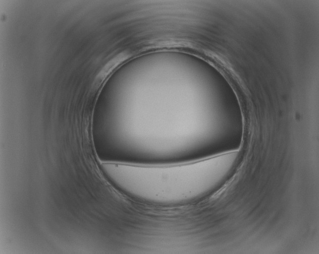 X0000068751273200604280917