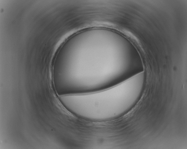 X0000068751280200604280917