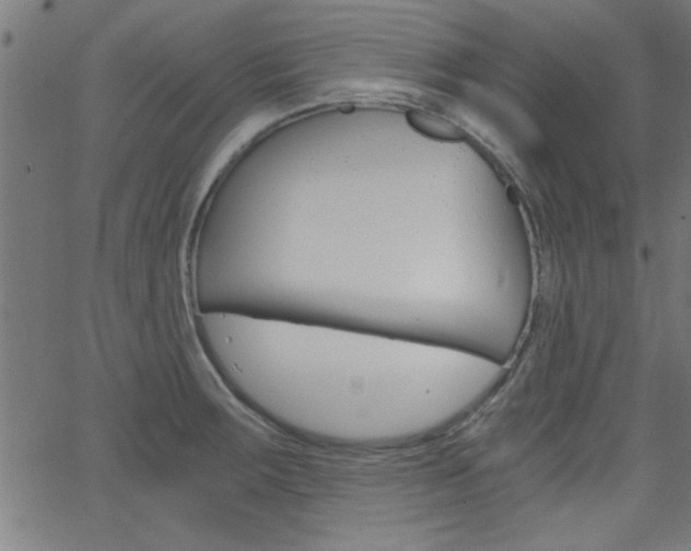 X0000068751283200604280917