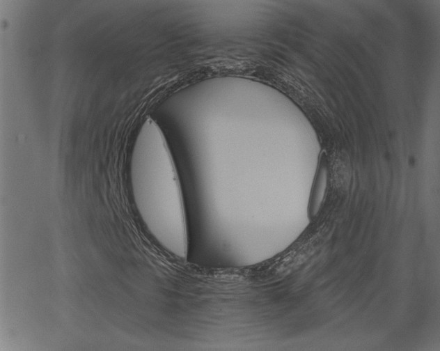 X0000068751297200604280916