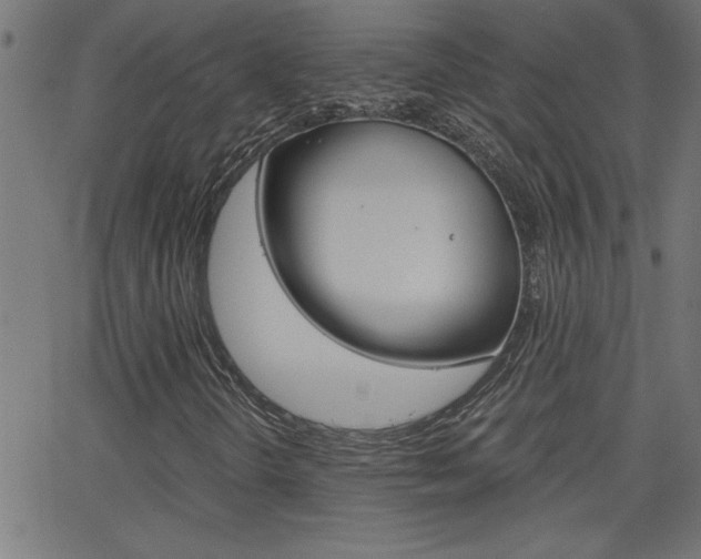 X0000068751298200604280916