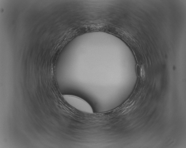 X0000068751299200604280916
