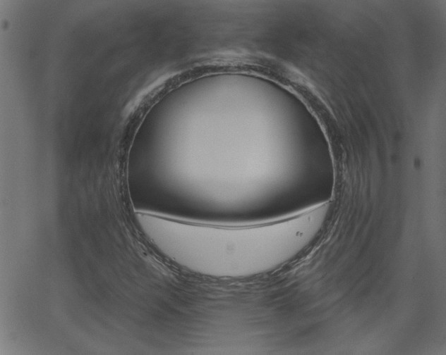 X0000068751304200604280916