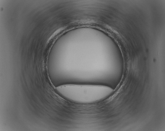 X0000068751306200604280916