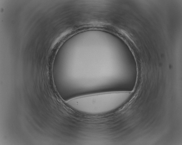 X0000068751307200604280916