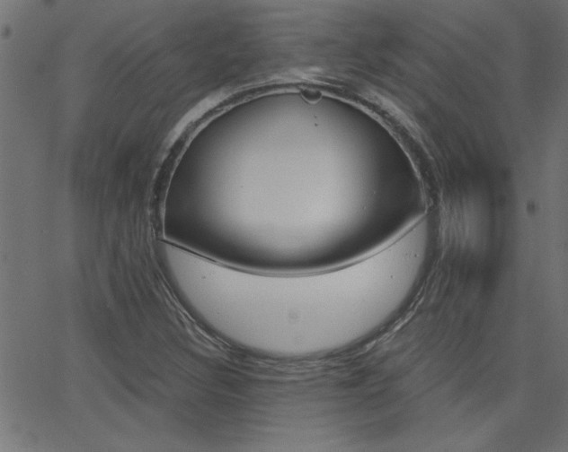X0000068751308200604280916