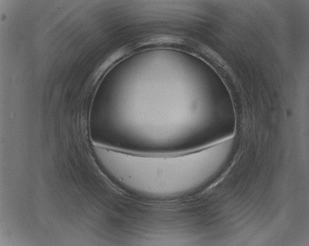 X0000068751321200604280916