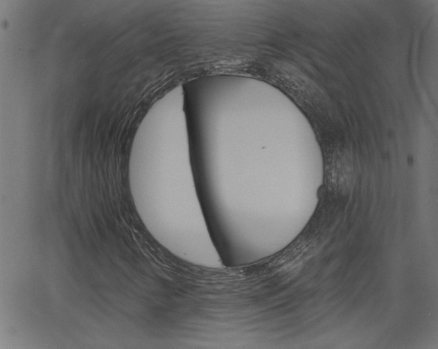X0000068751346200604280916
