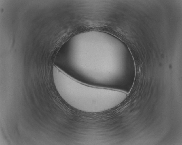 X0000068751348200604280916