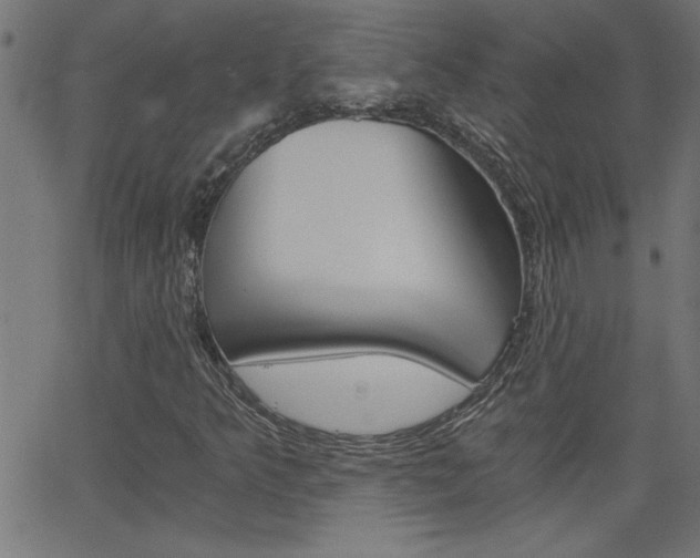 X0000068751349200604280916