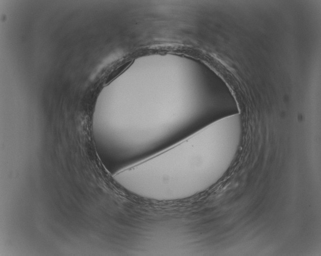 X0000068751351200604280916