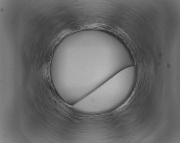 X0000068751353200604280916