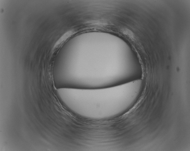 X0000068751354200604280916