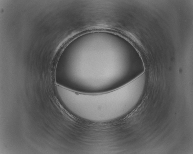 X0000068751356200604280916