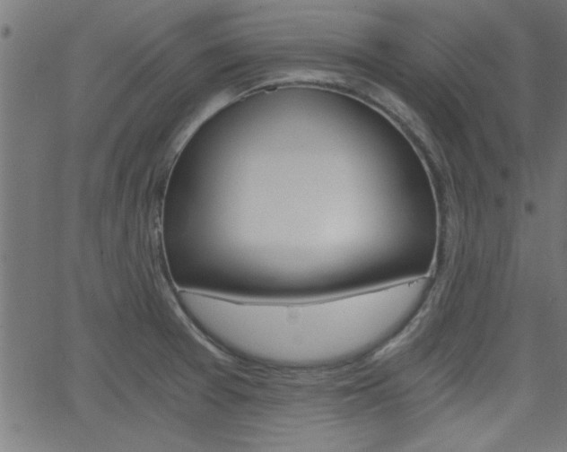 X0000068751377200604280916