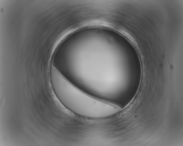 X0000068751392200604280915