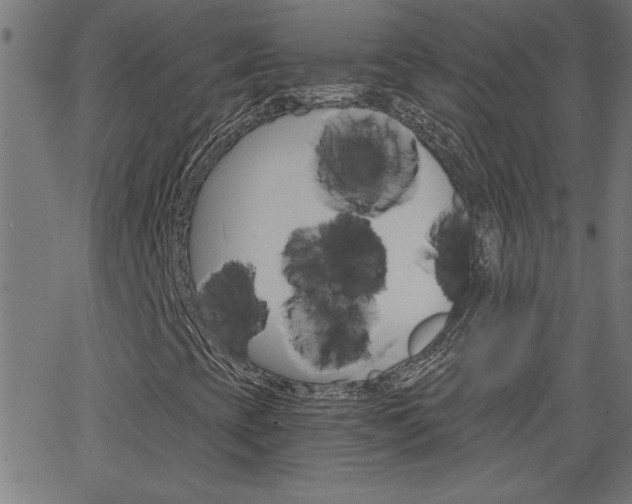 X0000068751393200604280915