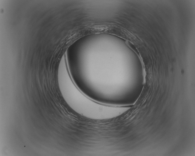 X0000068751394200604280915