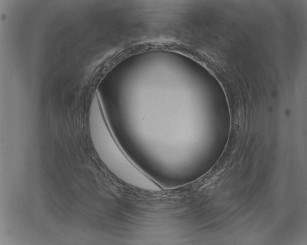 X0000068751398200604280915