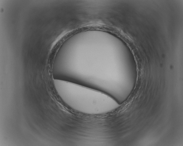 X0000068751400200604280915