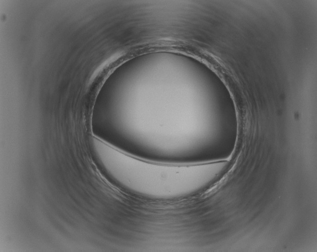 X0000068751402200604280915