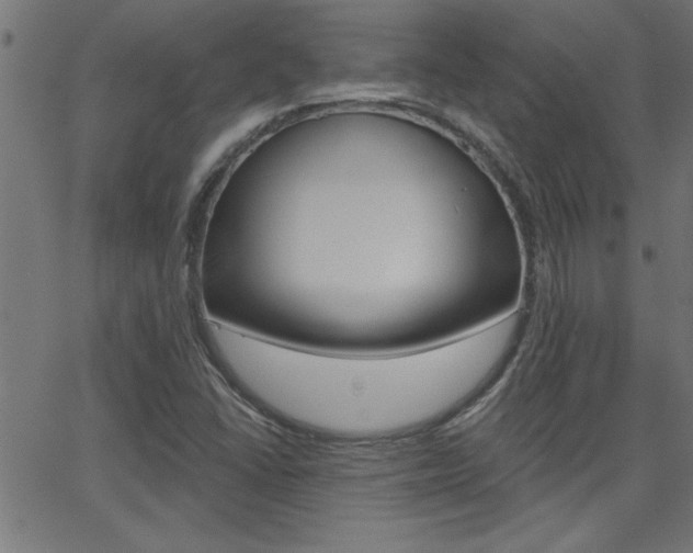 X0000068751406200604280915