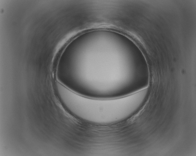 X0000068751414200604280915