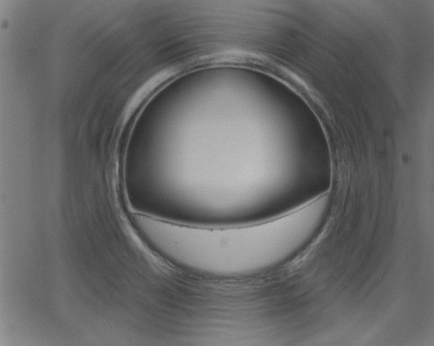 X0000068751418200604280915