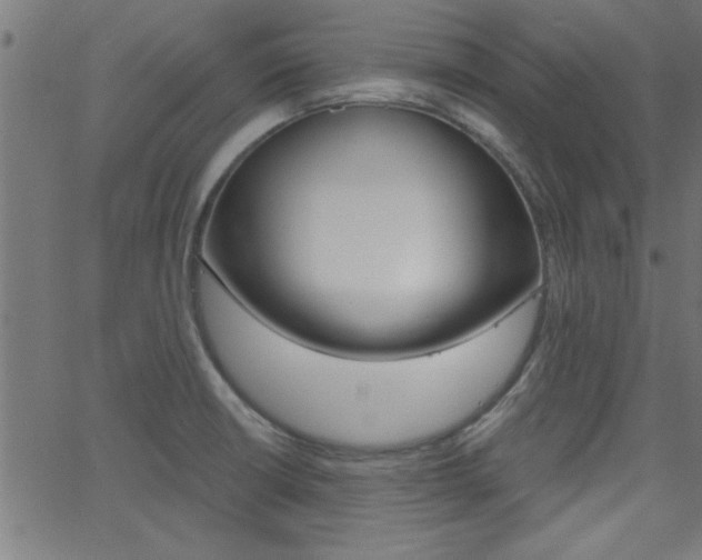 X0000068751426200604280915