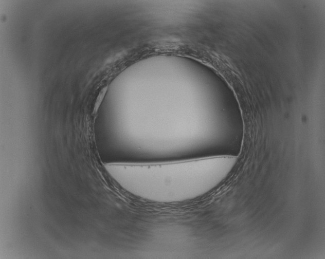 X0000068751445200604280914