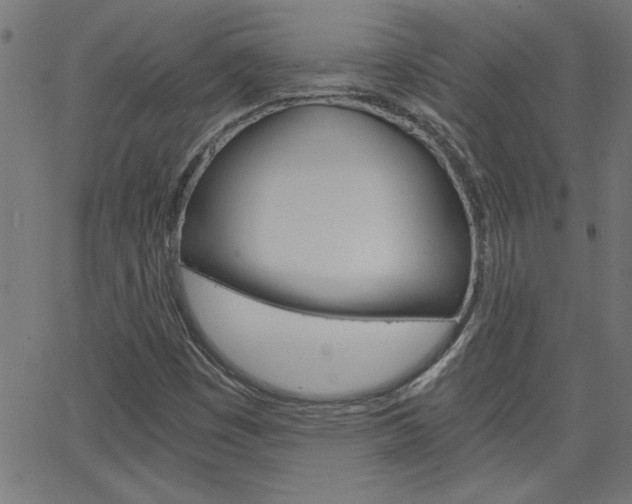 X0000068751449200604280914