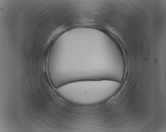 X0000068751451200604280914