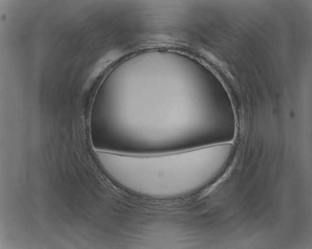 X0000068751453200604280914