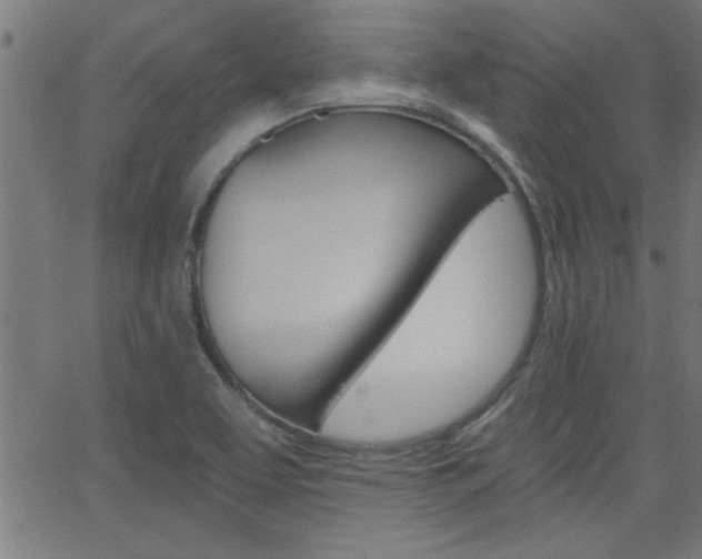X0000068751463200604280914